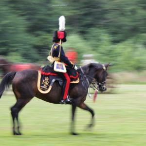 german ROYAL HORSE GUARDS